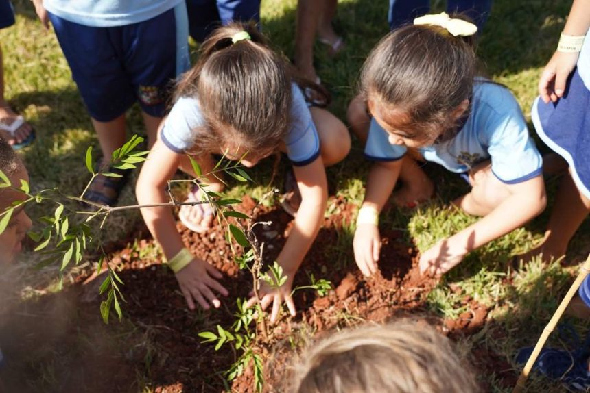 Parque-Ecologico-de-Sarandi